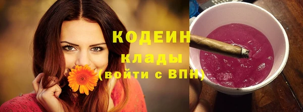 спайс Вяземский