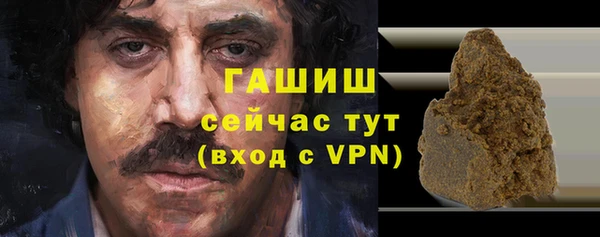 PSILOCYBIN Горняк