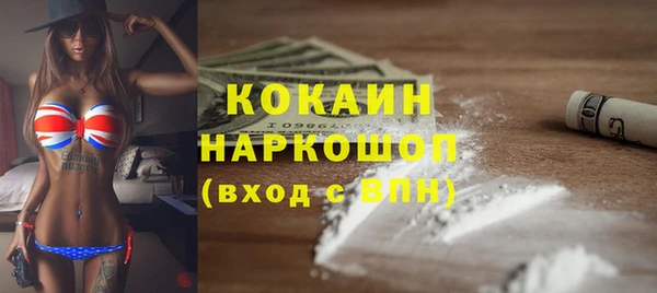 PSILOCYBIN Горняк