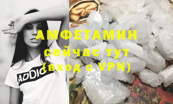 PSILOCYBIN Горняк