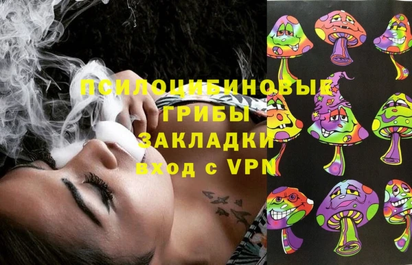спайс Вяземский